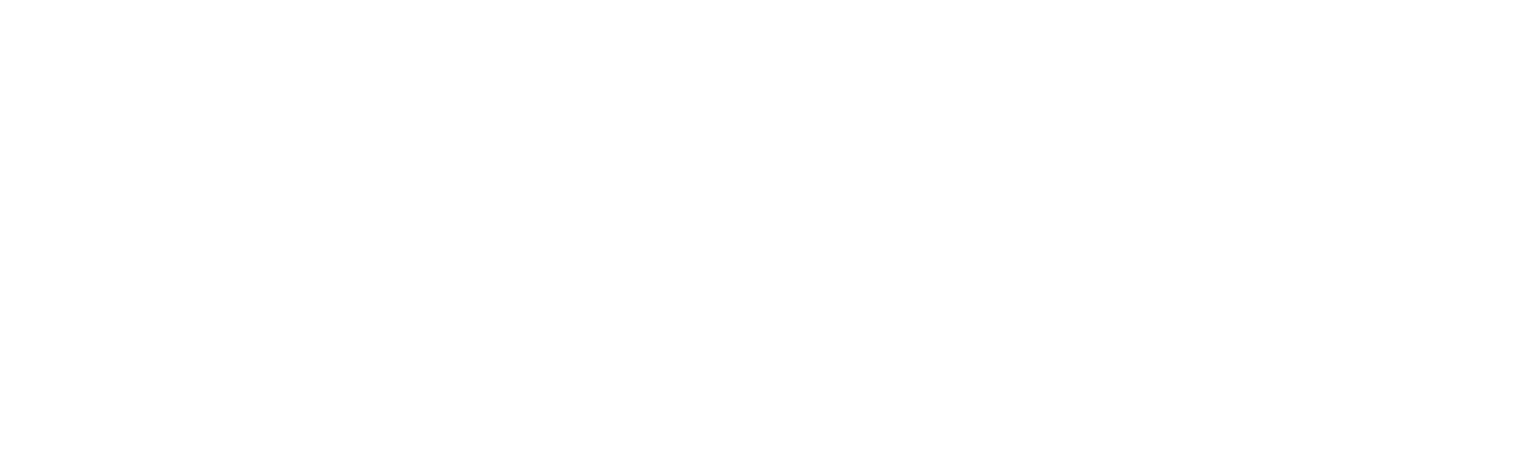 No BS Business Logo - White Horizontal